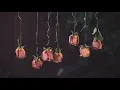 Myriam Fares - Ana Wi-l-Sho' (Egyptian Arabic) Lyrics + Translation - ميريام فارس - أنا والشوق