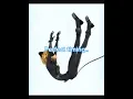 The bang…#miraculousmemes#sodapop#catnoir#shorts