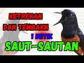 Download Lagu KETREKAN MURAI BATU GACOR🔥 SEKALI DENGAR MURAI BATU APAPUN MURAI BATU PASTI NYAUT CEPAT BUNYI
