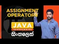 Java Tutorial - 07 Java Assignment Operators Sinhala