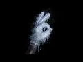 Drake - Whisper My Name (432hz) Extended version 
