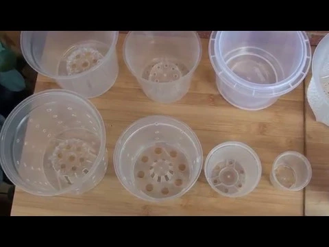 1 HOW I GROW MY ORCHIDS MY POTS