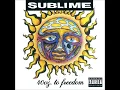Sublime - We're Only Gonna Die For Our Arrogance
