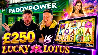 Back In The Bookies For Revenge We Take On Lucky Lotus AGAIN