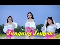 Download Lagu Jungang Jengok * PONY VALLEN * M/V Official Song Dayak 2025