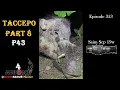 Download Lagu 43 Ekor Babi Hutan Tumbang di Kampung Taccepo, Ep353