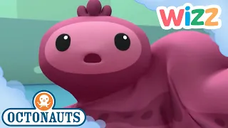 @Octonauts - Snot Sea Cucumber | Full Episode | Cartoons for Kids | @Wizz