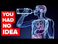 What Happens To Your Body When You Start Drinking Alcohol Minute by Minute