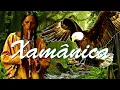 Download Lagu FLAUTA NATIVA AMERICANA, COM A FREQUÊNCIA 528HZ, XAMANISMO EM HARMONIA COM A NATUREZA E O ESPÍRITO!