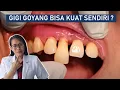 Download Lagu Gigi goyang bisa kuat sendiri ?