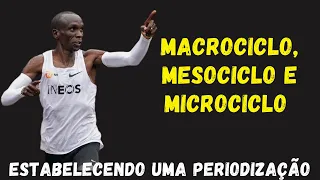 PERIODIZAÇÃO: DEFININDO MACROCICLO, MESOCICLO E MICROCICLO PARA PLANEJAMENTO DA TEMPORADA DE TREINOS