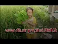Download Lagu Wow di luar prediksi niat lihat matahari terbenam malah ngebolang nyari genjer di sawah 