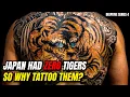 Why you should get Japanese Tiger tattoo Real meaning of Japanese Tiger tattoo