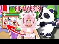Download Lagu Deleting all My PETS To Get The New Giant Panda In Adopt Me! *SAD* 😭😢