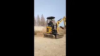                          دندنها