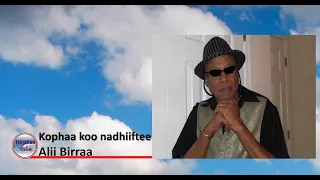 Alii Birraa Kophaa Koo Na Dhiiftee 