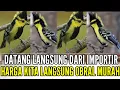 Download Lagu 🔴 DATANG LANGSUNG DARI IMPORTIR ‼️HARGA TERMURAH DIJAKARTA 0838-7553-6945