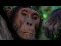 Download Lagu Human Beast: Human Zoo