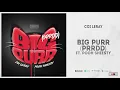 Coi Leray - "BIG PURR" (Prrdd)  Ft. Pooh Shiesty