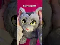 Unboxing the BIG Warrior Cats Mystery Plush Blind Bag