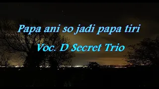 papa ani so jadi papa tiri d secret trio lirik 