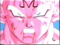 dbz papa roach scars