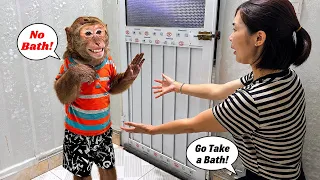 Oh No! Monkey Abu Refused to Take a Bath Today