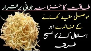 موصلی سفید کے فوائد مردانہ کمزوری کیلئے بہترین نسخہ جوڑوں پٹھوں میں درد کا علاج 