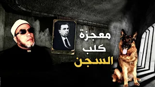 قصة ملك التعذيب في مصر ومعجزة كلب السجن الساجد من اغرب القصص مع الشيخ كشك 
