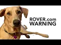 Rover com House Sitting Gone Bad