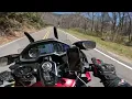 Devil’s Whip