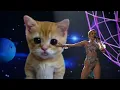 Miley Cyrus - Wrecking Ball (Live on American Music Awards) HD