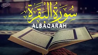 رقية شرعية وطرد الشياطين سورة البقرة  |ALBAQARAH