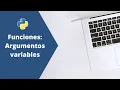 Funciones argumentos variables Python Basico