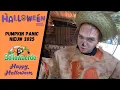 Download Lagu Nieuw 2025 PUMPKIN PANIC @Bellewaerde