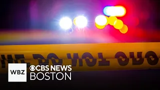 Taunton man found shot to death in shed police say