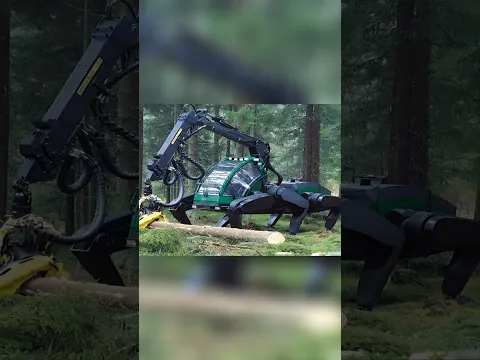 MONSTER Machine DEVOURS Trees Like Toothpicks! 😱 #shorts #viral
