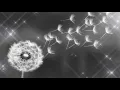 Download Lagu Ruth B - Dandelions [ Underwater effect,Slowed,Reverb,Full Version.]   #ruthb #dandelions