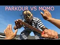 Download Lagu Parkour Vs momo
