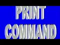 PRINT Command of BASIC PRINT Statement of BASIC