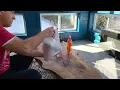 Making Exploding Rifle Targets - Tannerite