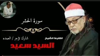 الشيخ السيد سعيد سوره الحشر 