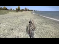 DayZ - Netting Hunt