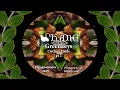 Download Lagu Shane - Greenkeys