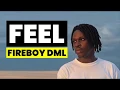 Fireboy DML - Feel