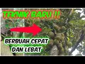 Download Lagu TEKNIK BARU ! Merangsang Nangka Dan Cempedak cepat Berbuah Lebat
