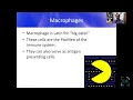 Ben Thrower MD MiSfires The Malfunctioning MS Immune System