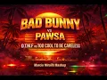 Bad Bunny, Pawsa - D.T.M.F Vs To Cool To be Careless  (Marcio Mirailh Mashup)