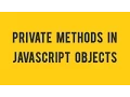 Public And Private Methods in JavaScript in Hindi by vishAcademy