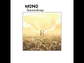 Winter Daphne - MONO